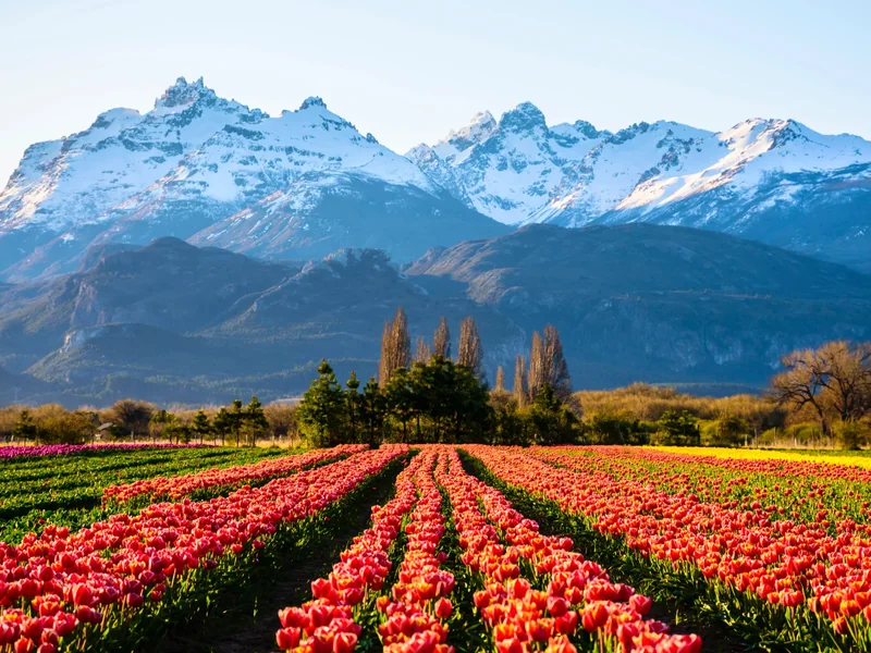 Patagonia, Argentina