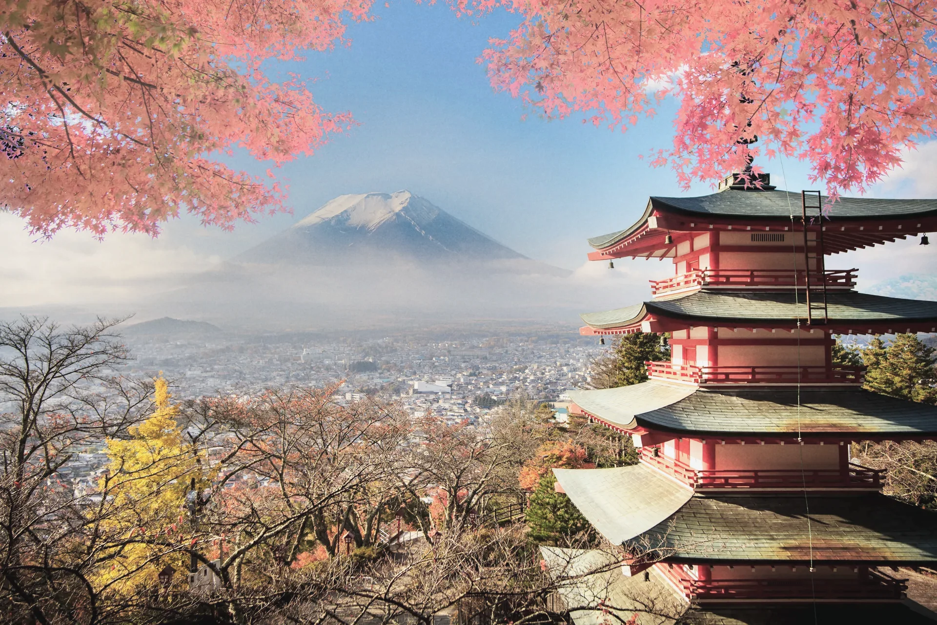 The Way of Sake: A Tokyo Tasting Journey