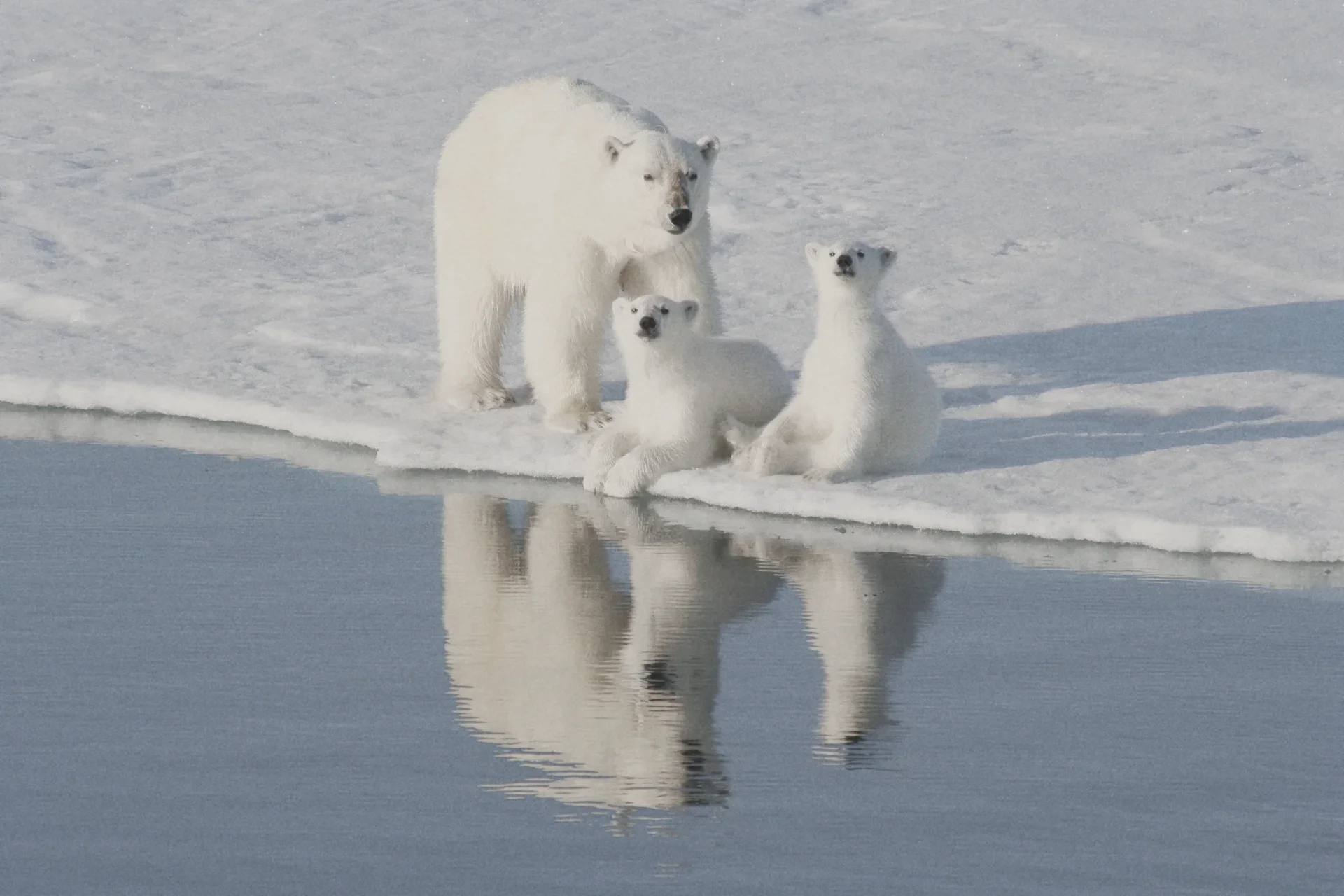 Svalbard