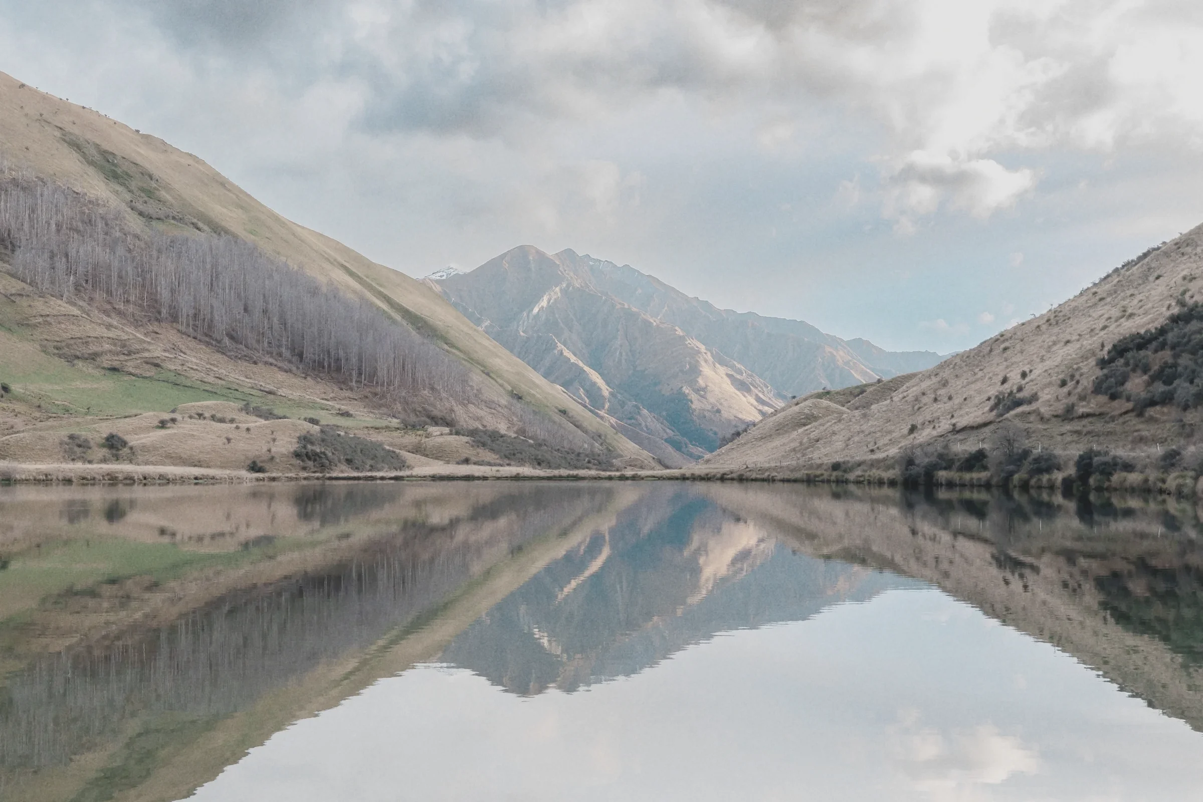 New Zealand, New Zealand