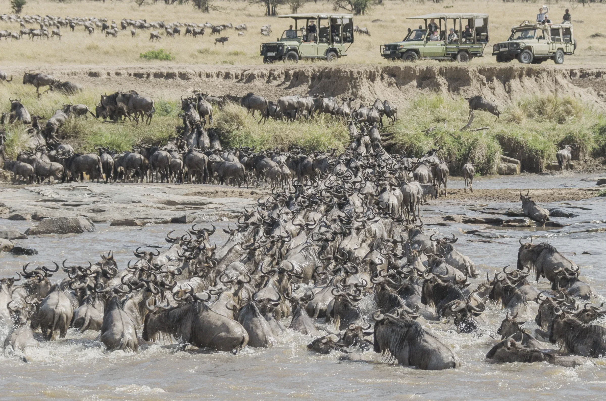 The Great Migration