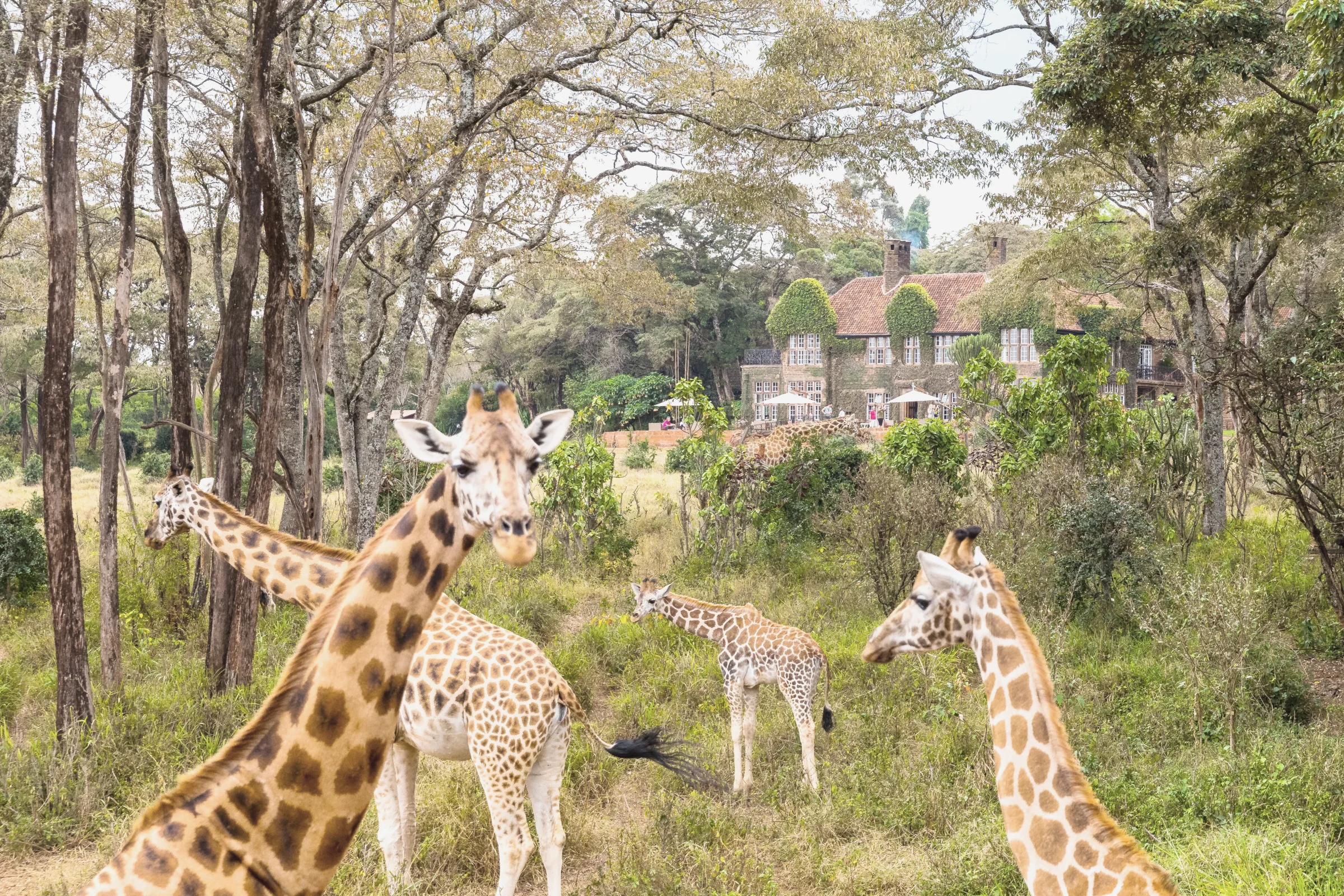 Arrival in Nairobi