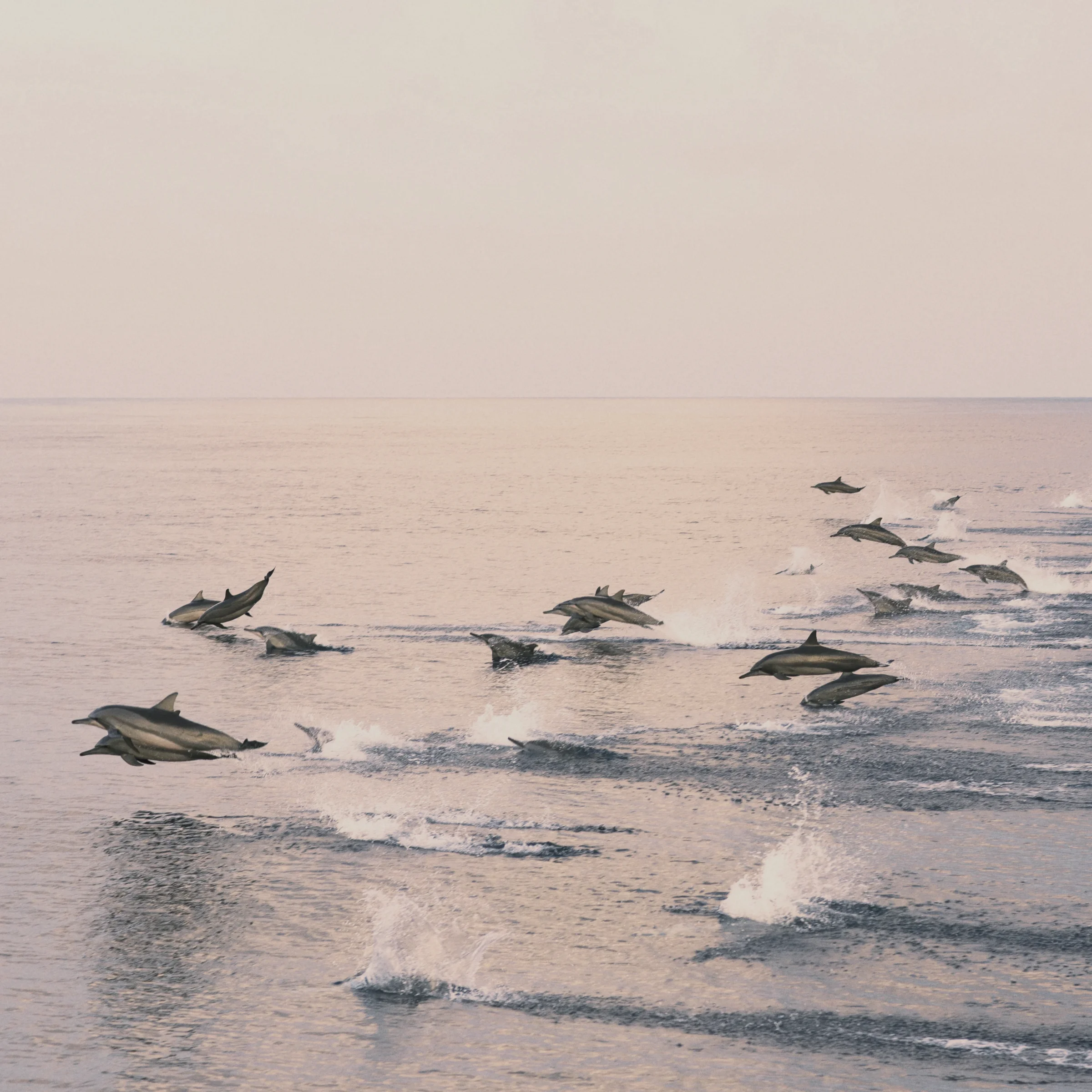 Departure