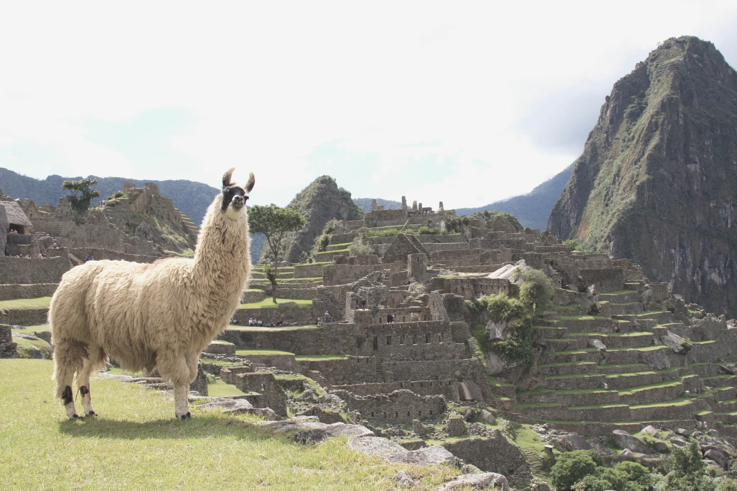 Sacred Valley: Markets & Ruins