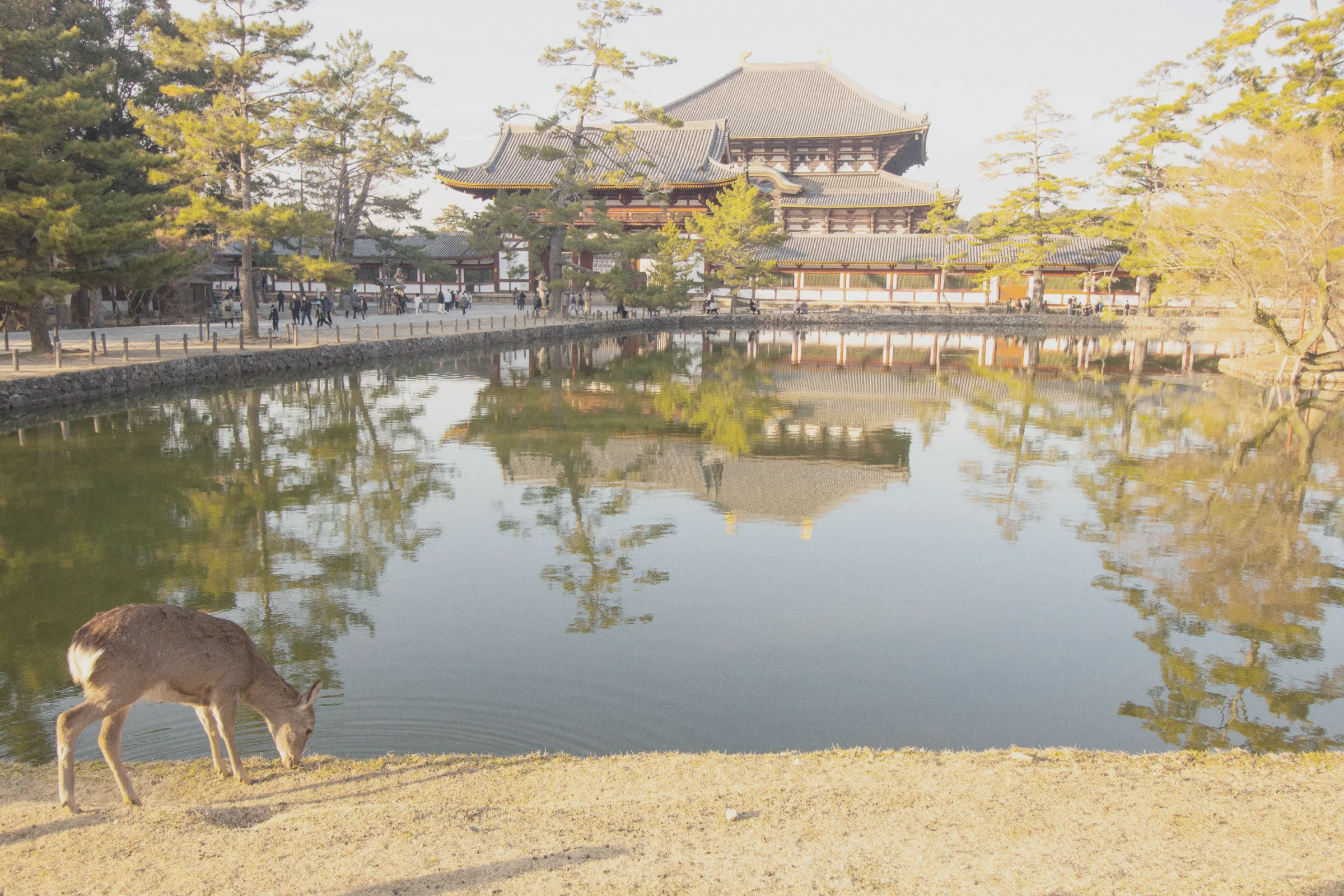 Hakone: Mountains & Art