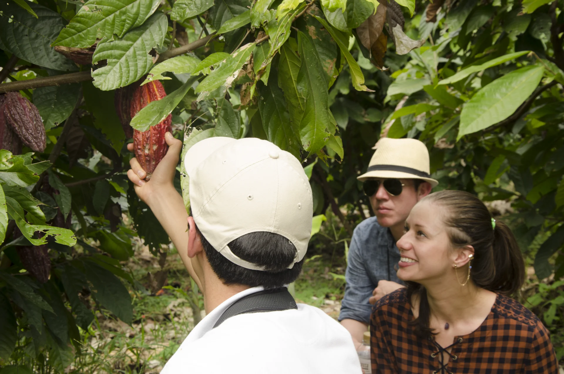 Hacienda Bambusa gardens and hacienda exterior with coffee region mountains